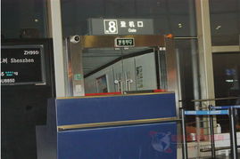 深圳華南國(guó)際孕嬰童用品展覽會(huì) 服裝鞋帽新趨勢(shì)全解析